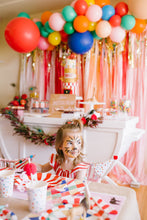 Load image into Gallery viewer, 8 ft x 8ft Single Strand Tablecloth Fringe Backdrop "Wall", Plastic Streamers Flagtape Backdrop, streamer wall Fringe Backdrop