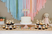 Load image into Gallery viewer, plastic fringe backdrop, party streamers, plastic party streamers