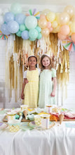 Load image into Gallery viewer, Fringe Backdrop Wall on Plastic Fencing
