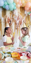 Load image into Gallery viewer, Fringe Backdrop Wall on Plastic Fencing