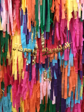 Load image into Gallery viewer, 8 strand -8ft Fringe Wall Plastic Tablecloth Fringe Backdrop, Vynl fringe, flag tape, flagging tape, photo backdrop, picture backdrop,