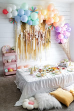 Load image into Gallery viewer, Fringe Backdrop Wall on Plastic Fencing