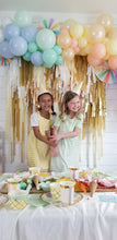 Load image into Gallery viewer, Fringe Backdrop Wall on Plastic Fencing