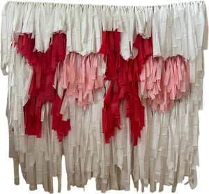 Valentines Day XOXO Fringe Backdrop Wall on Plastic Fencing