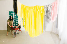 Load image into Gallery viewer, Back to School Plastic Fringe Backdrop| Special Collab with House of Fete | Pencil Style
