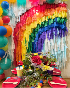 St Patrick’s Day Rainbow Fringe Backdrop Wall on Plastic Fencing