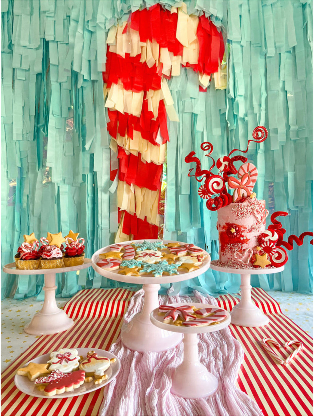 Glam Fete Christmas Candy Cane Fringe Backdrop Wall on Plastic Fencing